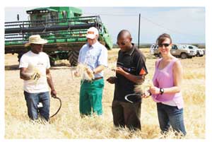 (From Left to Right) Inspecting the barley crop currently being harvested at Shadikongoro: Dr. Jorry Kaurivi (Project Consultant), Floris Smit (Farm Manager Shadikongoro), Jason Shikalepo (Business Project Manager O&L), Patricia Hoeksema (O&L Group Corporate Social Responsibility Manager). 