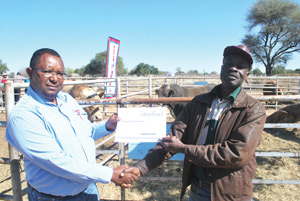 (R to L)Noag Tjitua one of the bulls beneficiaries, receives his handover certificate from Meatco’s Executive for Policy Innovation, Stakeholder Relations and Corporate Affairs, Vehaka Tjimune. Photograph by Meatco 