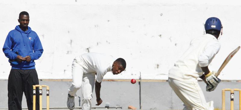 Junior Cricketers reign supreme over Botswana