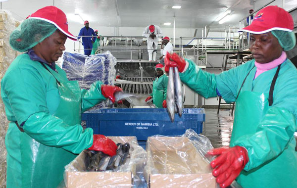 Low fish stocks lead to job losses