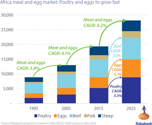 How the modern poultry industry is taking shape in Africa