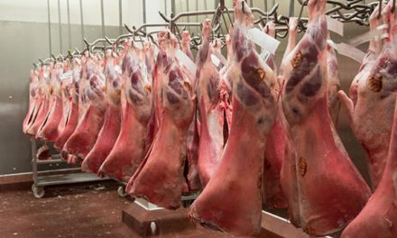 Meat Board approves additional condition to sheep marketing scheme