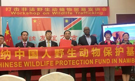 Simultaneous Windhoek-Harare workshops held to curb illegal wildlife trade