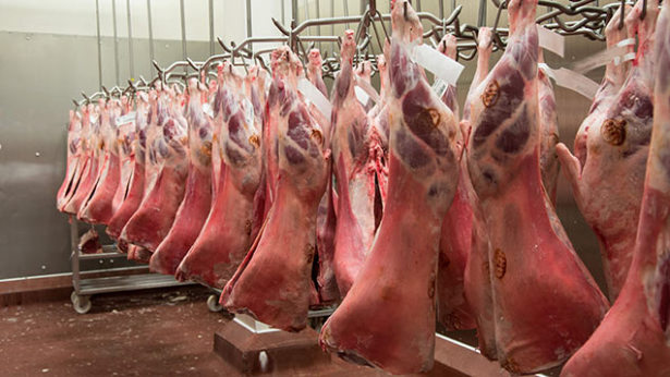 Financial crunch forces Farmers Meat Market Mariental Abattoir to shut down