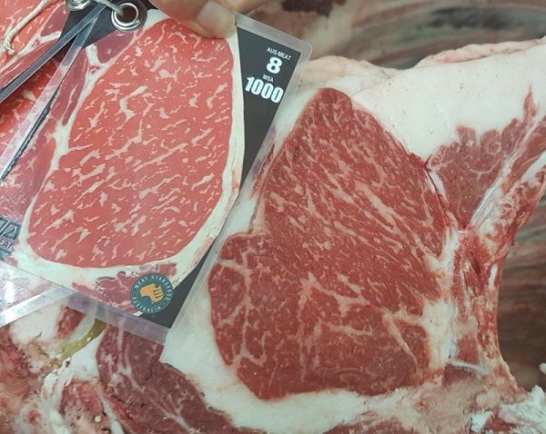 Niche cattle breed Wagyu under the hammer first time in South Africa