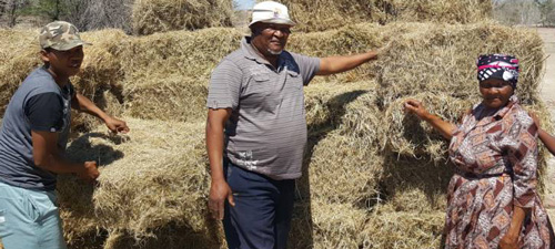 Agricultural Union assists resettled farmers with required fodder for livestock