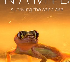 New desert documentary shows why Namib Sand Sea is a World Heritage site