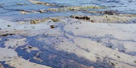 No new oil spills detected at Afrodite beach and Walvis Bay Lagoon