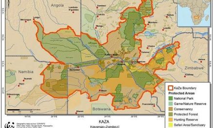 Shot down by many as a pipe dream, Kaza holds the ultimate key to rural development and regional integration