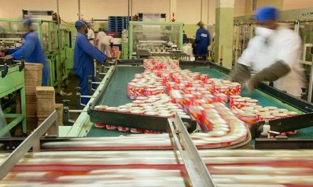 Imported frozen pilchard keeps doors open at Namibia’s only pelagic cannery