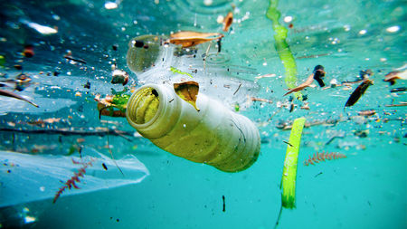 Namibia to take action on plastic pollution through Marine Ecosystem Programmes