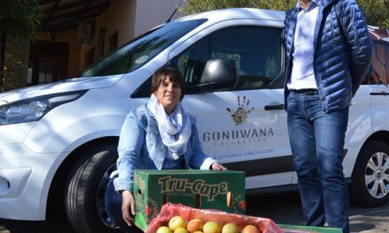 Play your part in aiding the less fortunate – buy a Bank Windhoek apple