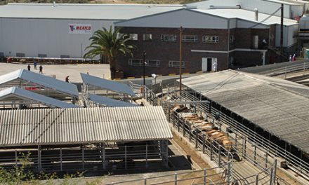Meatco commissions new fire-line and fire pump to manage fire risk at Windhoek factory