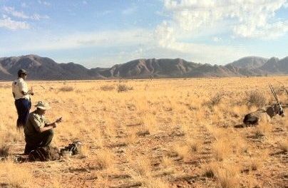 Studying the impact of man-made obstacles in the natural dispersal of large desert animals