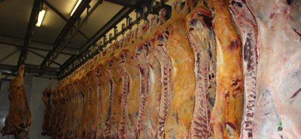 Local meat marketing declines while world meat consumption stays positive
