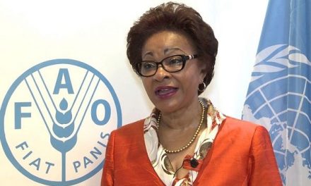 AU Commissioner reveals Africa’s first food-loss prevention strategy at 73rd session of UN General Assembly