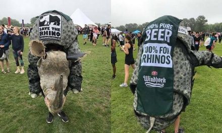 Windhoek Lager brings worldwide rhino conservation to the Isles