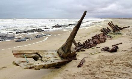 Skeleton Coast ranked 9th out of 50 best African beaches – travel experts praise its allure and remoteness
