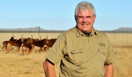 Tsumeb native husbands De Beers Group’s extensive game ranching and conservation interests