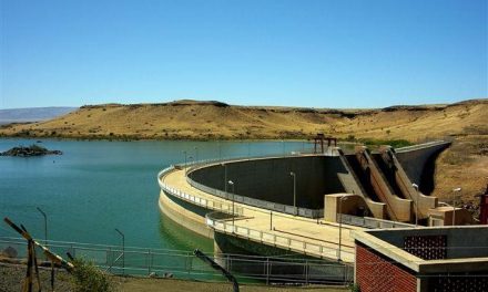 Only one third of water left in dams – Meatco