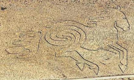 Petroglyphic wild horse tears across the desert plains at Aus