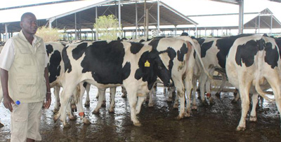 Milk production drops by 6% as drought continues to rear its ugly head