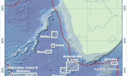 Vema Seamount in the south-east Atlantic teems with life, Greenpeace mission reports after exploration