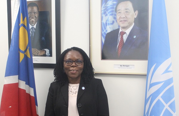 The FAO at a glance – Namibia Country Representative provides overview of activities and goals