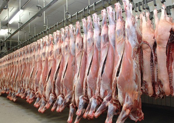 Katima Mulilo abattoir to commence with test slaughtering