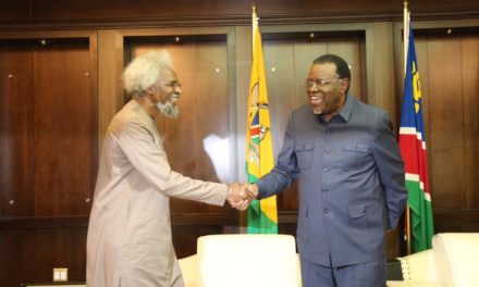 President invited to lead as Southern African Champion on the AU Committee on arts, culture