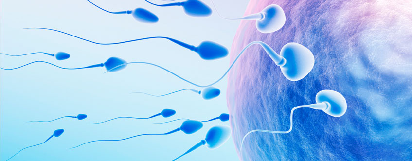 Prominent African leaders championing the fight against infertility stigmatization