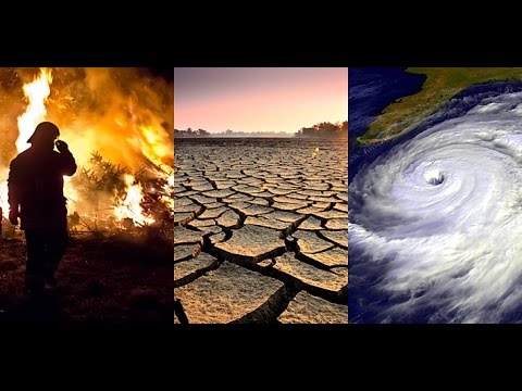 Is COVID-19 our dress-rehearsal for the impending climate disaster?