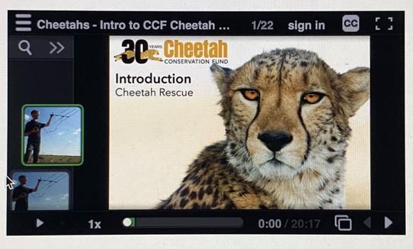 Cheetah protectors launch career orientation programme at schools in Oshana