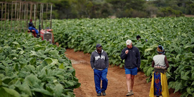 Zimbabwe government’s Global Compensation Agreement with two farming organisations raises serious concerns
