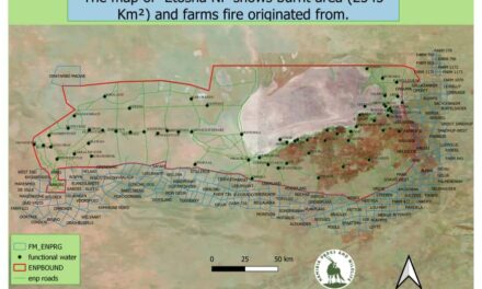 Etosha National Park fire burns through 2,545 square kilometres