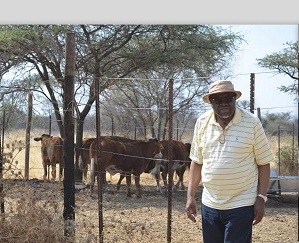 Geingob supports growth at home initiative – Markets 60 cattle to Meatco
