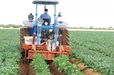 Agricultural sector declines by 2.8% in Q1