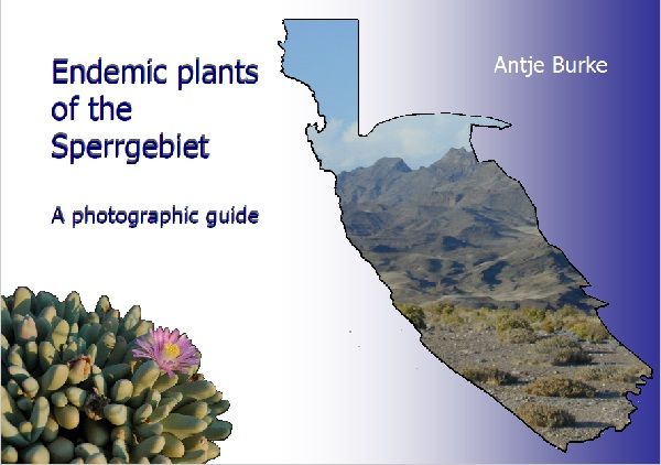 Free e-book field guide unlocks Sperrgebiet’s rich plant diversity