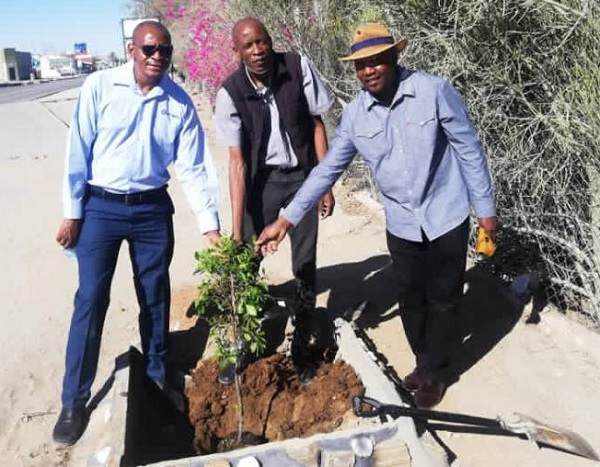 Navachab and Woermann help Karibib plant new trees for a greener environment