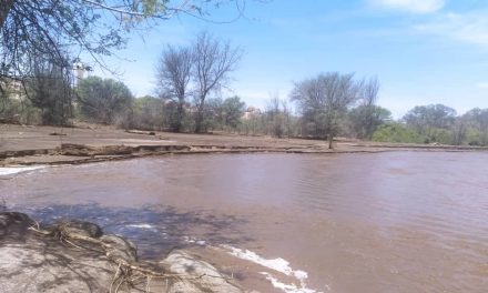 Kuiseb River flow stable at 0,3 m as it passes Rooibank
