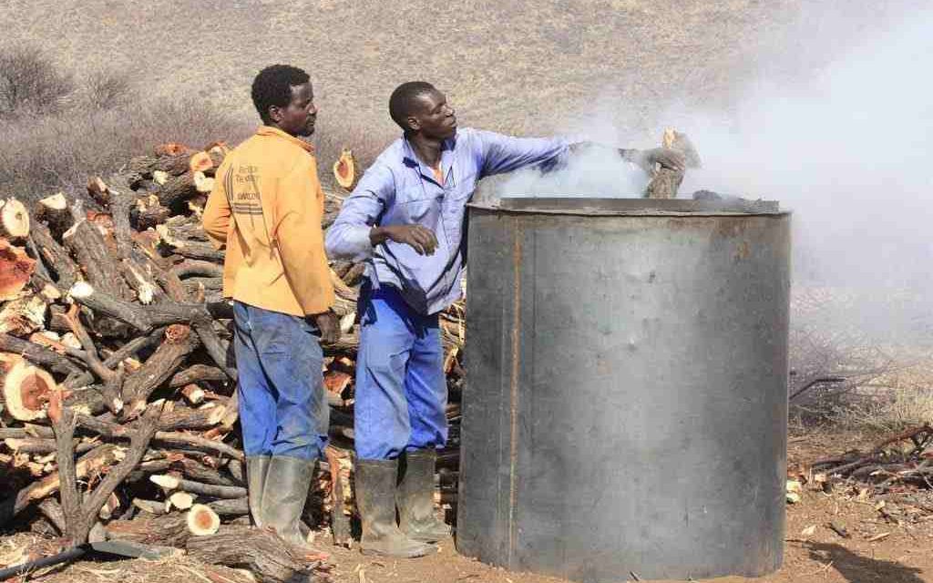 Pilot charcoal production project in communal areas commences