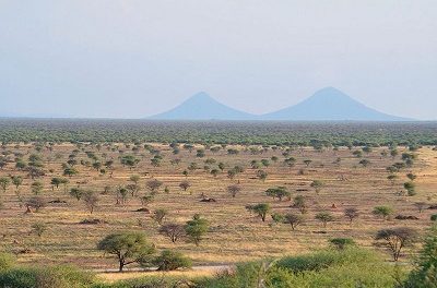 Namibia Nature Foundation clarifies factual context of local bush biomass