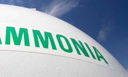 Namibia eyes local production of green hydrogen and ammonia
