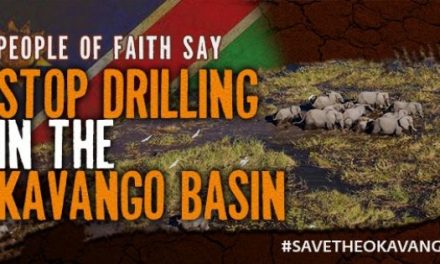 Anglican church condemns ReconAfrica for drilling in the Kavango Basin