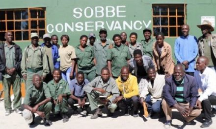 Elephants enjoy right of way in Sobbe Conservancy thanks to financial support from Amarula