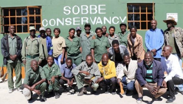 Elephants enjoy right of way in Sobbe Conservancy thanks to financial support from Amarula