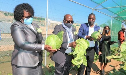 Agronomic Board hands over 14 school gardens across the country