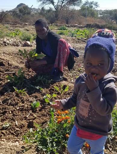 Community gardening initiative handed over to the city fathers