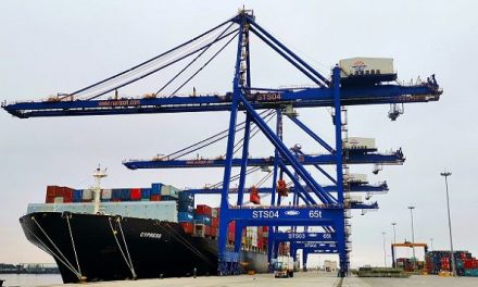 Walvis container terminal turned into storage yard for Cape Town cargo