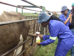 Start farming now says dedicated millennial female part time farmer